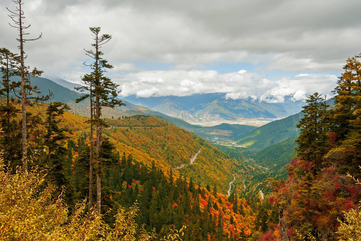 Tibet Weather in July