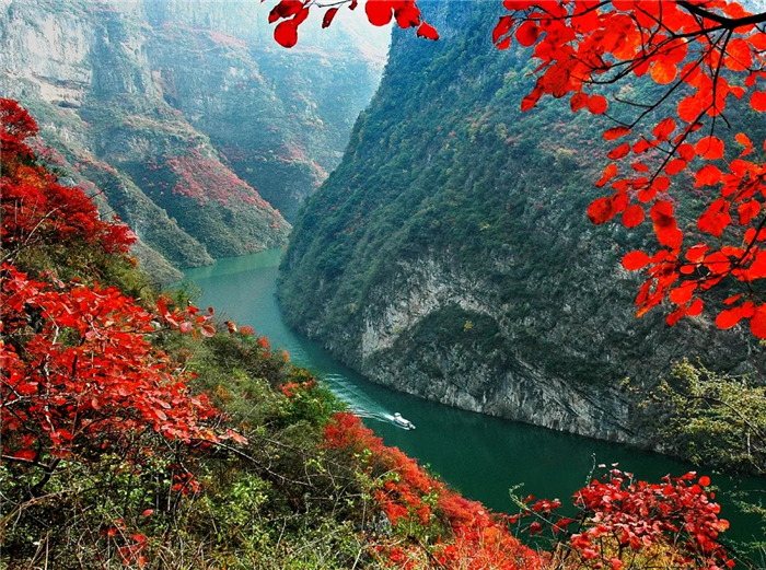 Shennong Stream – Picture Scroll of Serene Nature