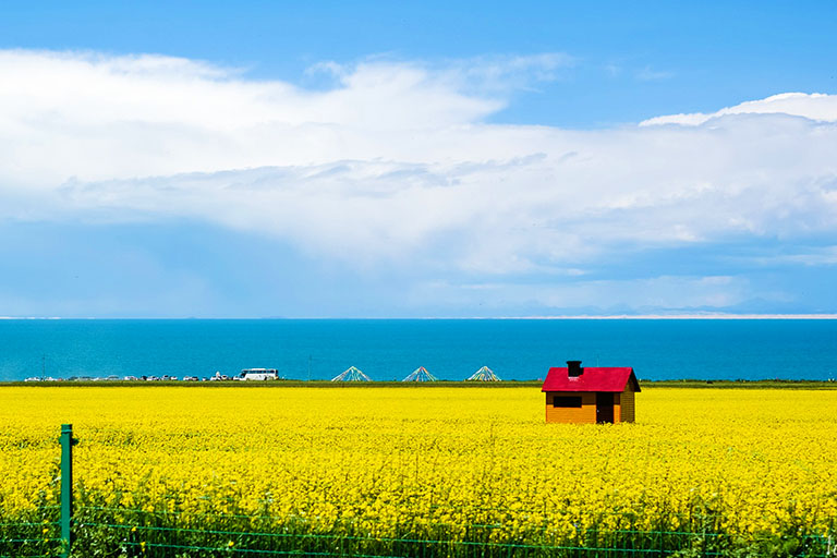 Qinghai Lake