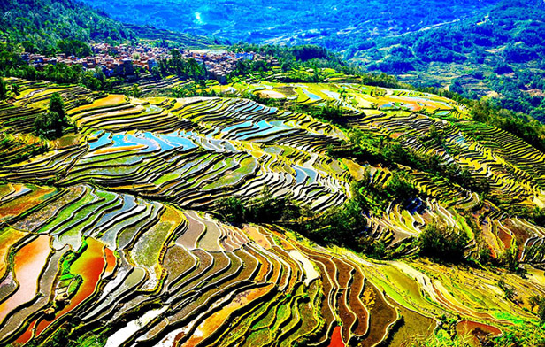 Top 6 Most Beautiful Rice Terraces in China