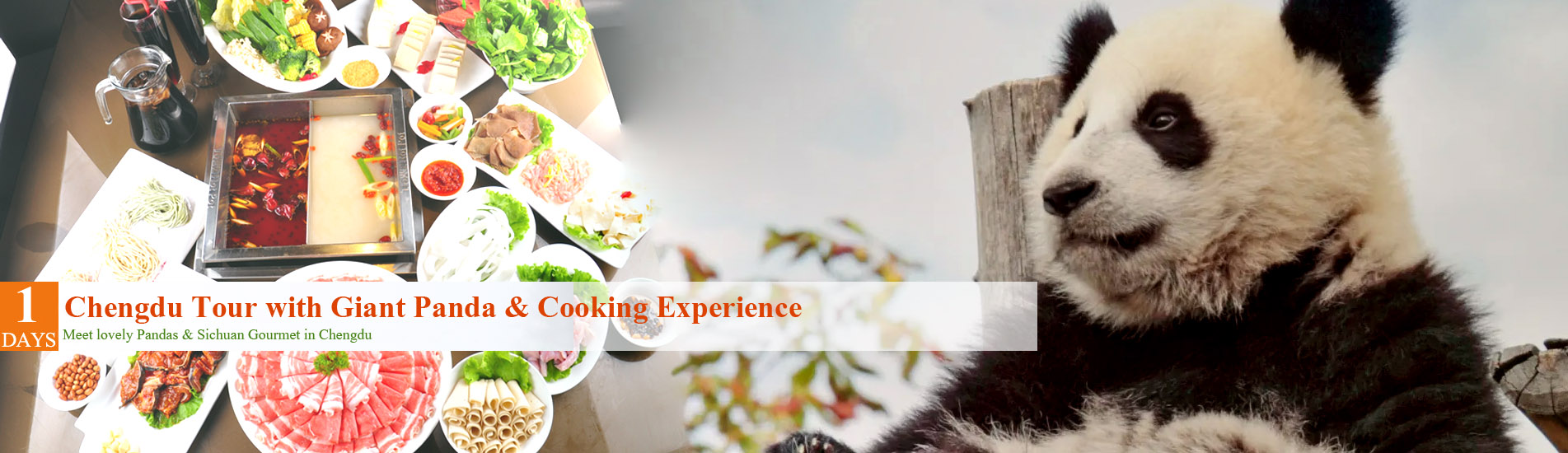 1 Day Chengdu Tour with Giant Panda & Cooking Experience