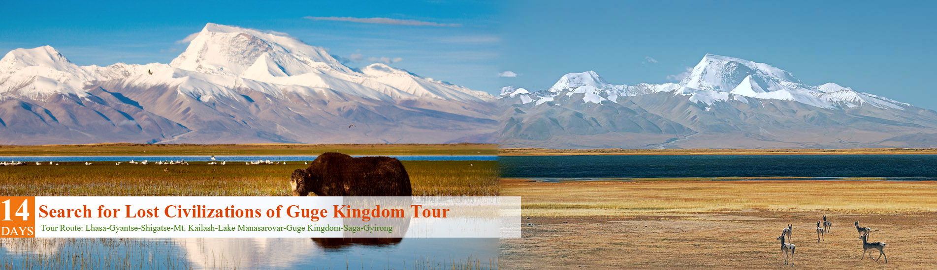 14 Days Search for Lost Civilizations of Guge Kingdom
