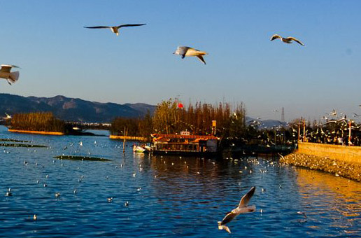 3 Days Kunming Spring City Tour