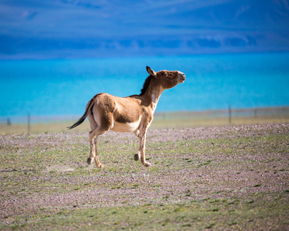 Tibet Travel Clothing