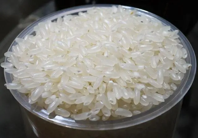Plastic Rice