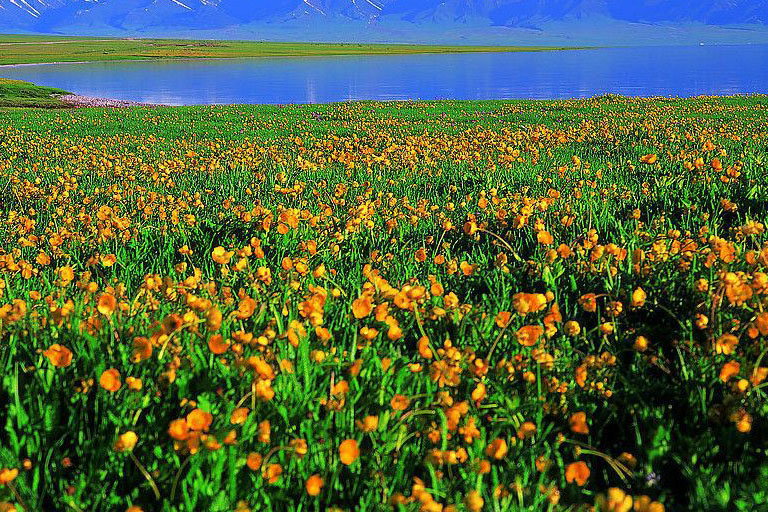 Xinjiang Spring