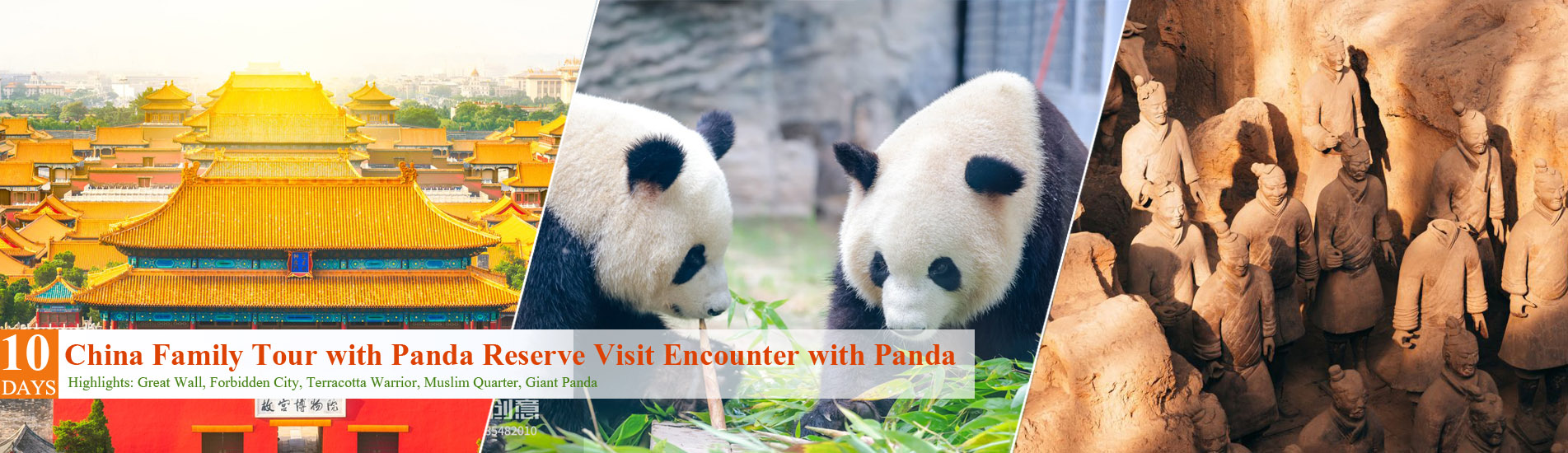 10 Days China Family Tour with Chengdu Panda Reserve